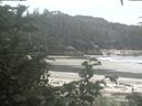 ./images/calvert/beach/20200807/beach20200807_110502.jpg