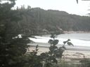 ./images/calvert/beach/20200807/beach20200807_182003.jpg