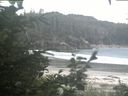 ./images/calvert/beach/20200808/beach20200808_064503.jpg