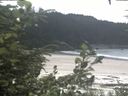 ./images/calvert/beach/20200808/beach20200808_130503.jpg