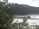 ./images/calvert/beach/20200808/beach20200808_134001.jpg