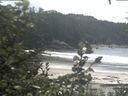 ./images/calvert/beach/20200808/beach20200808_141502.jpg