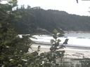 ./images/calvert/beach/20200808/beach20200808_144003.jpg
