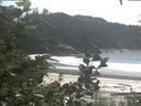 ./images/calvert/beach/20200808/beach20200808_145502.jpg