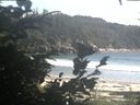 ./images/calvert/beach/20200808/beach20200808_175002.jpg