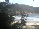./images/calvert/beach/20200808/beach20200808_181003.jpg