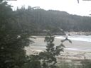 ./images/calvert/beach/20200809/beach20200809_122003.jpg
