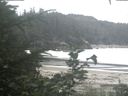 ./images/calvert/beach/20200809/beach20200809_143502.jpg