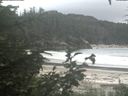 ./images/calvert/beach/20200809/beach20200809_152001.jpg