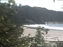 ./images/calvert/beach/20200810/beach20200810_141003.jpg