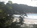 ./images/calvert/beach/20200811/beach20200811_154002.jpg