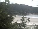 ./images/calvert/beach/20200812/beach20200812_124502.jpg
