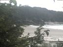./images/calvert/beach/20200812/beach20200812_135001.jpg