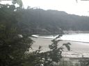 ./images/calvert/beach/20200812/beach20200812_151002.jpg