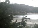./images/calvert/beach/20200812/beach20200812_164003.jpg