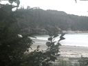 ./images/calvert/beach/20200812/beach20200812_171003.jpg