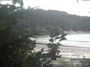 ./images/calvert/beach/20200812/beach20200812_172001.jpg
