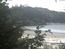 ./images/calvert/beach/20200813/beach20200813_101503.jpg