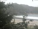 ./images/calvert/beach/20200814/beach20200814_123503.jpg