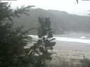 ./images/calvert/beach/20200814/beach20200814_134501.jpg