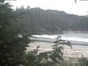 ./images/calvert/beach/20200814/beach20200814_154502.jpg