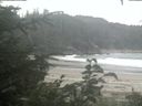 ./images/calvert/beach/20200814/beach20200814_162502.jpg