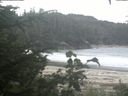./images/calvert/beach/20200814/beach20200814_191501.jpg