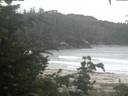./images/calvert/beach/20200814/beach20200814_204503.jpg