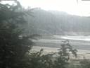 ./images/calvert/beach/20200815/beach20200815_061003.jpg