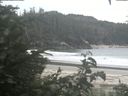 ./images/calvert/beach/20200815/beach20200815_102001.jpg