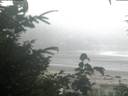./images/calvert/beach/20200816/beach20200816_060503.jpg