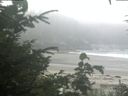 ./images/calvert/beach/20200816/beach20200816_081003.jpg