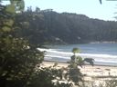 ./images/calvert/beach/20200816/beach20200816_113502.jpg