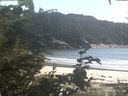 ./images/calvert/beach/20200818/beach20200818_152503.jpg