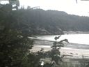 ./images/calvert/beach/20200818/beach20200818_162502.jpg