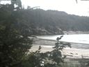 ./images/calvert/beach/20200818/beach20200818_164002.jpg