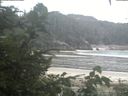 ./images/calvert/beach/20200819/beach20200819_101503.jpg