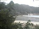 ./images/calvert/beach/20200819/beach20200819_102002.jpg