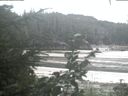 ./images/calvert/beach/20200820/beach20200820_072002.jpg