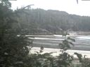 ./images/calvert/beach/20200820/beach20200820_081501.jpg