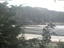 ./images/calvert/beach/20200820/beach20200820_082002.jpg
