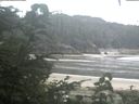 ./images/calvert/beach/20200820/beach20200820_084001.jpg