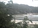 ./images/calvert/beach/20200820/beach20200820_084502.jpg