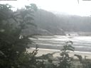 ./images/calvert/beach/20200820/beach20200820_092502.jpg