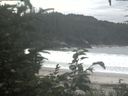 ./images/calvert/beach/20200820/beach20200820_131502.jpg
