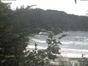 ./images/calvert/beach/20200820/beach20200820_134002.jpg