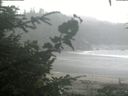 ./images/calvert/beach/20200820/beach20200820_201003.jpg