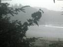 ./images/calvert/beach/20200820/beach20200820_202503.jpg