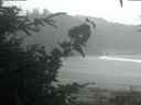 ./images/calvert/beach/20200820/beach20200820_204502.jpg