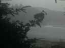 ./images/calvert/beach/20200820/beach20200820_205503.jpg